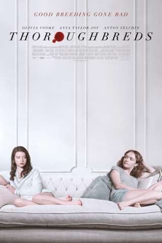 Amiche di sangue
