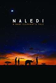 Naledi: A Baby Elephant' s Tale