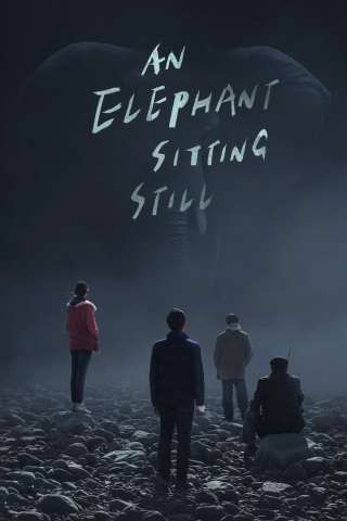 An Elephant Sitting Still