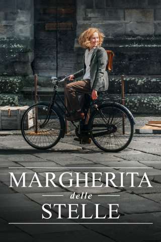 Margherita delle stelle