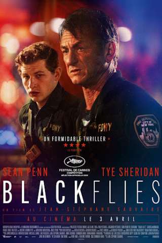 Black Flies