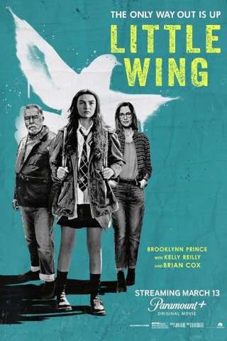 Little Wing - Il senso di casa