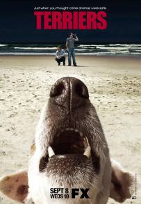 Terriers